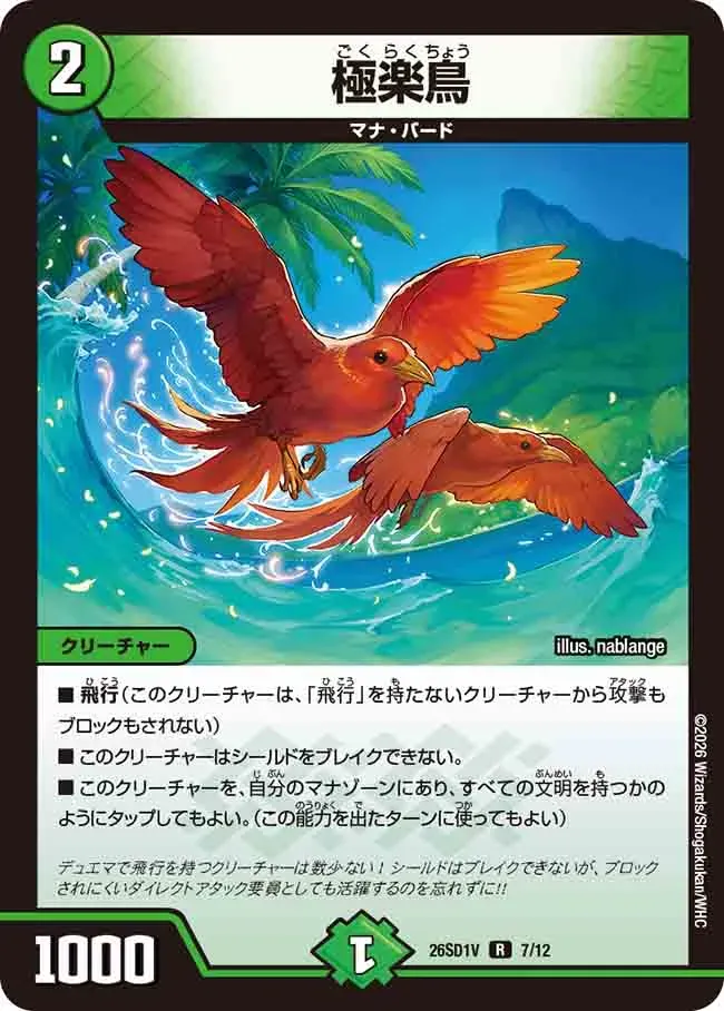 Birds of Paradise